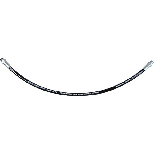 Flexible Grease Hose, 12" L Pryde Industrial Inc.