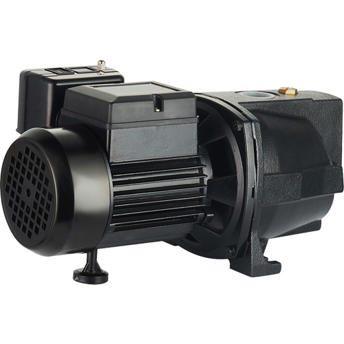 Dual Voltage Cast Iron Shallow Well Jet Pump, 115 V/230 V, 1100 GPH, 1 HP Pryde Industrial Inc.