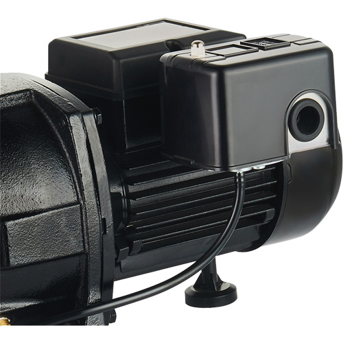 Dual Voltage Cast Iron Shallow Well Jet Pump, 115 V/230 V, 1100 GPH, 1 HP Pryde Industrial Inc.