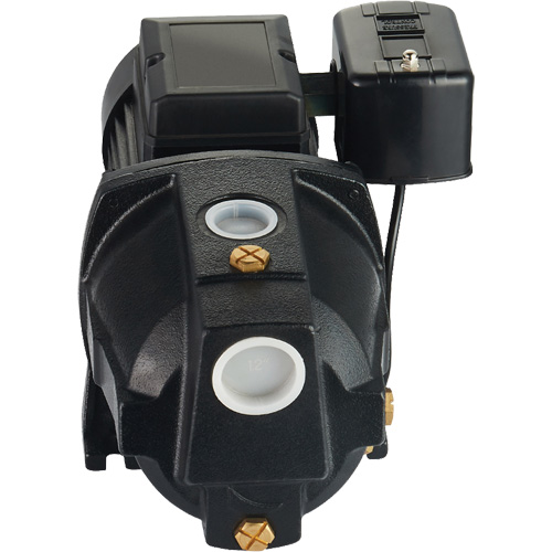 Dual Voltage Cast Iron Shallow Well Jet Pump, 115 V/230 V, 1100 GPH, 1 HP Pryde Industrial Inc.
