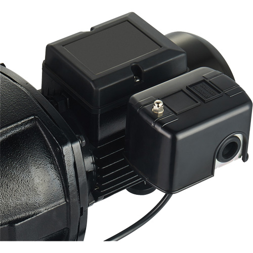 Dual Voltage Cast Iron Shallow Well Jet Pump, 115 V/230 V, 1100 GPH, 1 HP Pryde Industrial Inc.