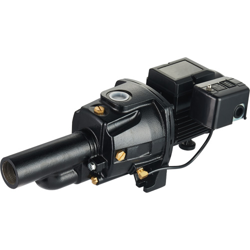 Pompe &agrave; jet en fonte &agrave; double tension transformable, 115 V/230 V, 1400 gal./h, 3/4 CV Pryde Industrial Inc.