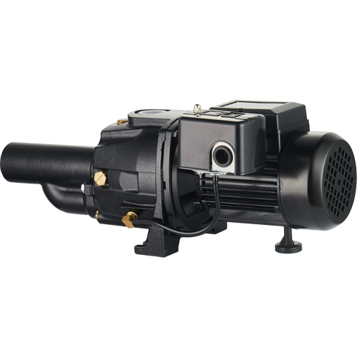 Pompe &agrave; jet en fonte &agrave; double tension transformable, 115 V/230 V, 1400 gal./h, 3/4 CV Pryde Industrial Inc.