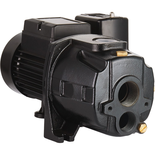 Pompe &agrave; jet en fonte &agrave; double tension transformable, 115 V/230 V, 1400 gal./h, 3/4 CV Pryde Industrial Inc.