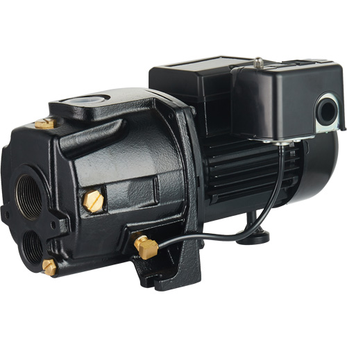 Pompe &agrave; jet en fonte &agrave; double tension transformable, 115 V/230 V, 1400 gal./h, 3/4 CV Pryde Industrial Inc.