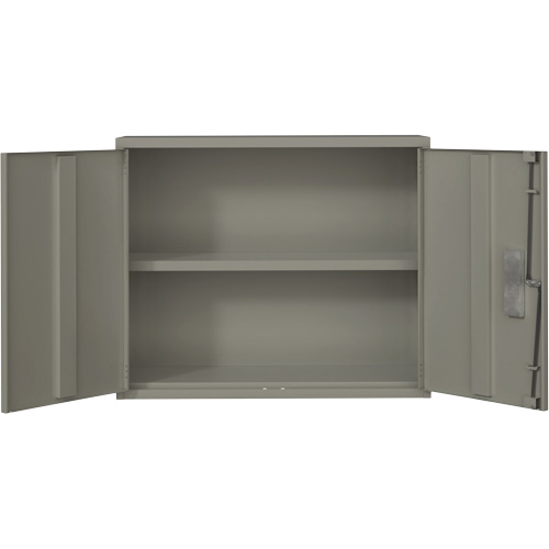 Armoire murale, Acier, 2 Tablettes, 30" h x 36" la x 12" P, Gris Pryde Industrial Inc.