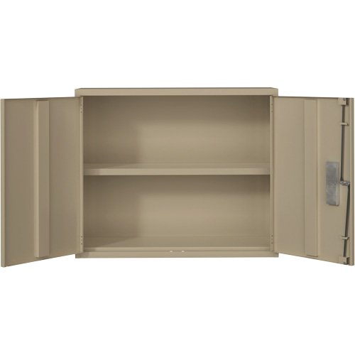 Wall Mounted Cabinet, Steel, 2 Shelves, 30" H x 36" W x 12" D, Beige Pryde Industrial Inc.