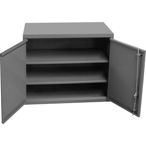 Armoire murale, 27" h x 13-11/16" la x 35-7/8" p, 2 tablettes, Acier, Gris Pryde Industrial Inc.