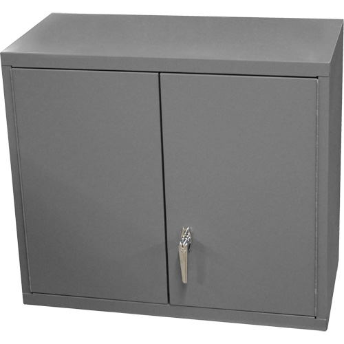 Armoire murale, 27" h x 13-11/16" la x 35-7/8" p, 2 tablettes, Acier, Gris Pryde Industrial Inc.
