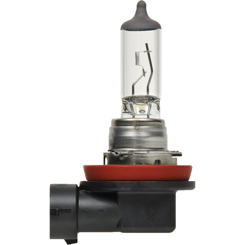 H8 Basic Headlight Bulb, Halogen, 35 W, Off White Pryde Industrial Inc.