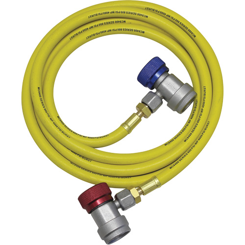 Ensemble flexible de rinçage pour syst&egrave;me de climatisation R134a Pryde Industrial Inc.