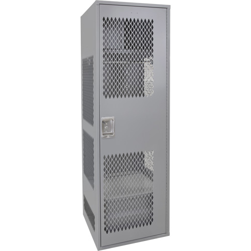 Casier pour &eacute;quipement avec porte, Acier, 24" la x 24" p x 72" h, Gris Pryde Industrial Inc.