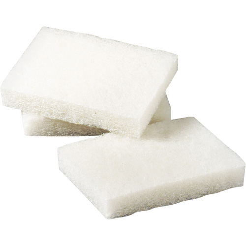 Scotch-Brite Light Duty Scrubbing Pad, 5" L x 3-1/2" W Pryde Industrial Inc.