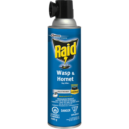 Insecticide contre les gu&ecirc;pes et les frelons Raid, 400 g, &agrave; base de solvant Pryde Industrial Inc.
