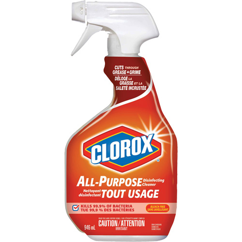 All-Purpose Disinfecting Cleaner Spray, 946 ml, Trigger Bottle Pryde Industrial Inc.