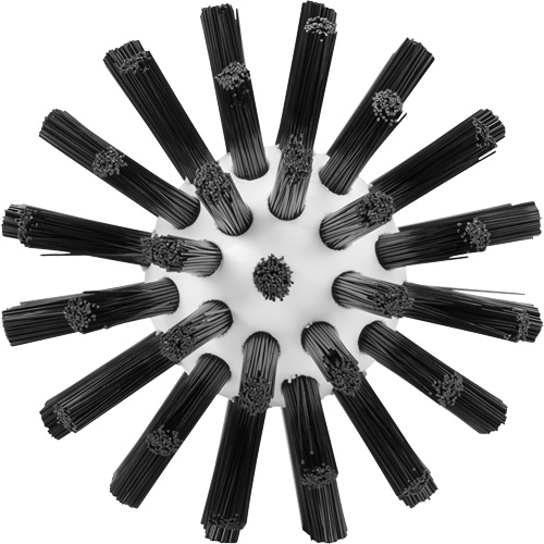 Brosse de nettoyage, Soies Ferme, Longueur de 5-7/10", Noir Pryde Industrial Inc.
