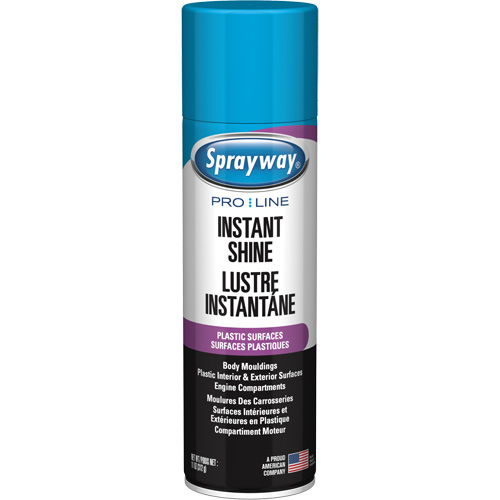 Pro Line Instant Shine for Plastic Surfaces, 11 oz., Aerosol Can Pryde Industrial Inc.