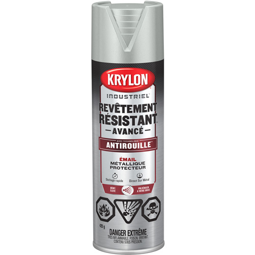 Peinture Tough Coat avec technologie Rust Barrier, Aluminium, M&eacute;tallique, 425 g, Canette a&eacute;rosol Pryde Industrial Inc.