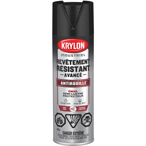 Peinture Tough Coat avec technologie Rust Barrier, Noir, Semi-brillant, 425 g, Canette a&eacute;rosol Pryde Industrial Inc.