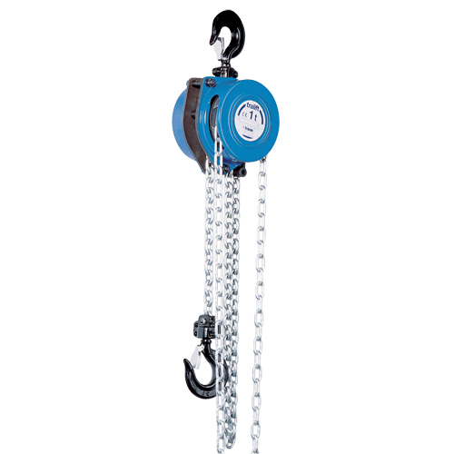 Tralift&reg; Chain Hoist, 10' Lift, 500 lbs. (0.25 tons) Capacity, Grade 80 Chain Pryde Industrial Inc.