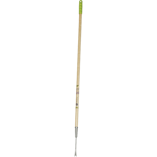 Dandelion Weeder Pryde Industrial Inc.