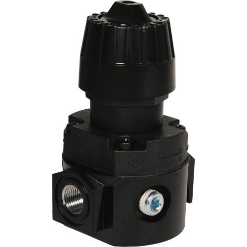 Wilkerson Compact Regulator R16, 1/4" NPT, 300 psi Max. PSI, Standard Pryde Industrial Inc.