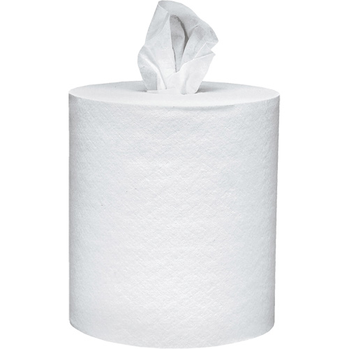 Scott&reg; Essential Paper Towels, 2 Ply, Centre Pull, 625' L Pryde Industrial Inc.