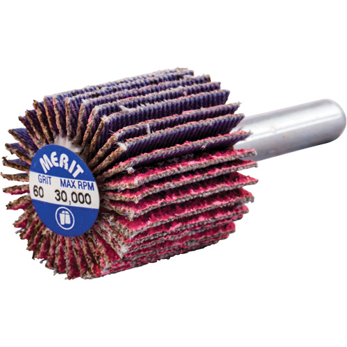 Mini-meule &agrave; lamelles mont&eacute;e sur tige, C&eacute;ramique d'alumine, Grain 60, 1" x 1" x 1/4" Pryde Industrial Inc.
