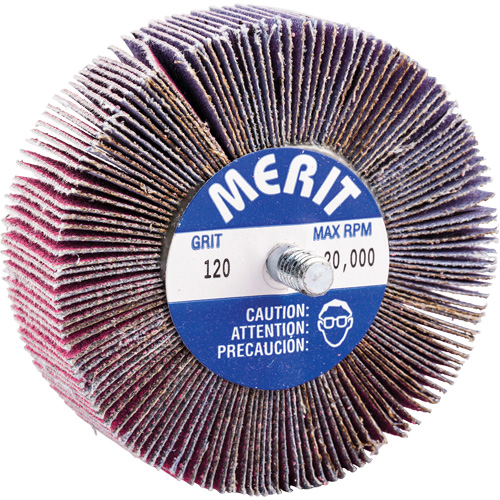 Mini-meule &agrave; lamelles filet&eacute;es, C&eacute;ramique d'alumine, Grain 120, 3" x 1" x 1/4"-20 Pryde Industrial Inc.