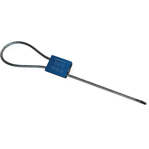 Scell&eacute; de s&eacute;curit&eacute; &agrave; c&acirc;ble Flexsecure FS35, 12", M&eacute;tal, Scell&eacute; &agrave; c&acirc;ble Pryde Industrial Inc.
