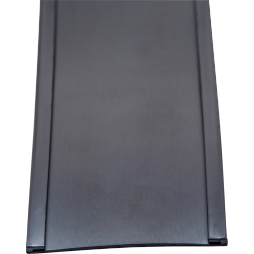 Porte-&eacute;tiquette, Magn&eacute;tique, 600" lo x 2" la Pryde Industrial Inc.
