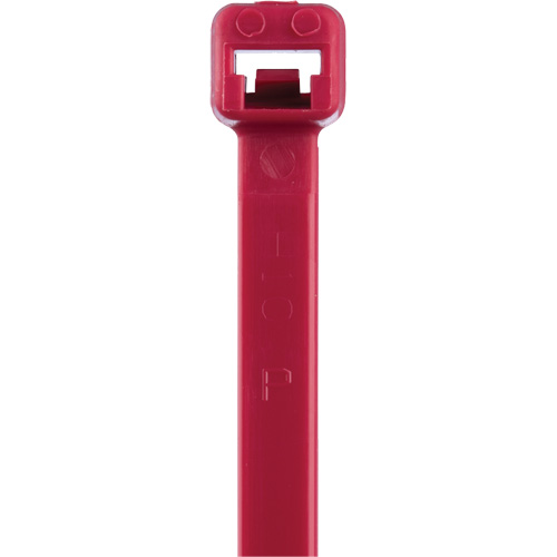 T Series Cable Ties, 8" Long, 50 lbs. Tensile Strength, Red Pryde Industrial Inc.