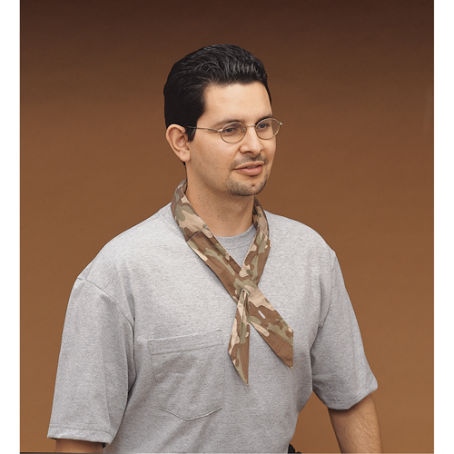 ALLEGRO INDUSTRIES Cool Offs Bandana, Multi-Colour Pryde Industrial Inc.