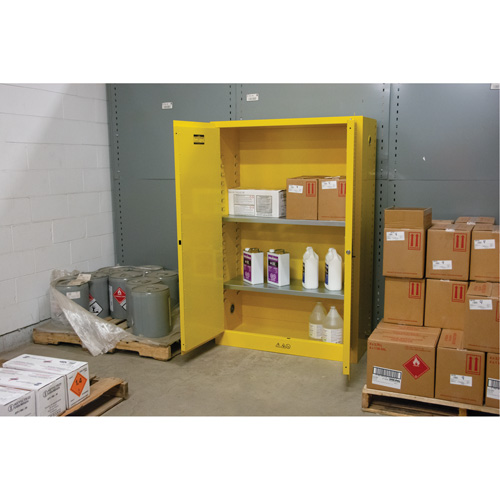 Flammable Storage Cabinet, 45 gal., 2 Door, 43" W x 65" H x 18" D Pryde Industrial Inc.