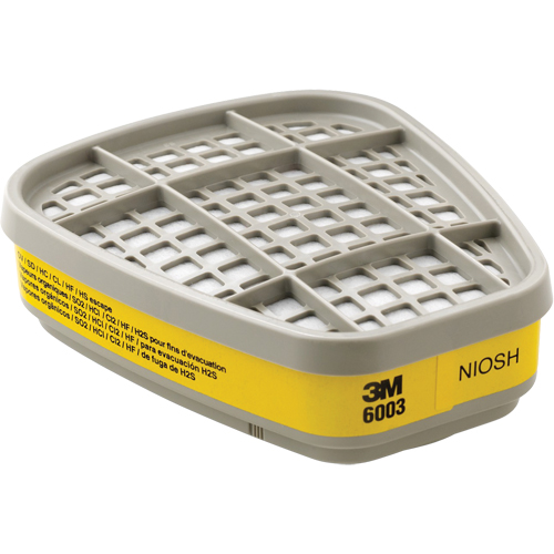 Cartouches pour respirateur s&eacute;rie 6000, Cartouche gaz/vapeur, Vapeurs organiques/Gaz acides Pryde Industrial Inc.