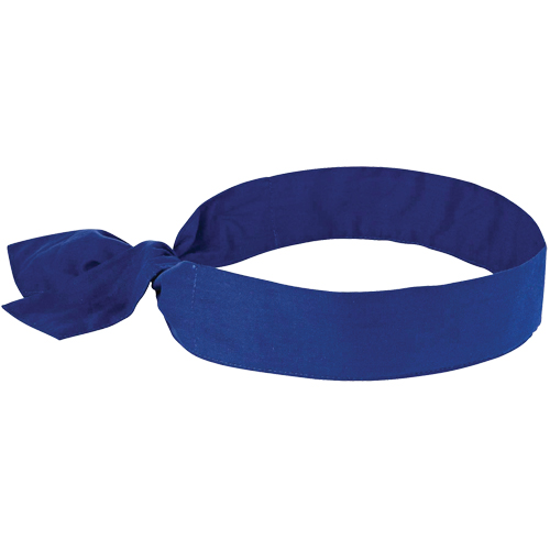 Chill-its&reg; 6700 Cooling Bandanas, Blue Pryde Industrial Inc.