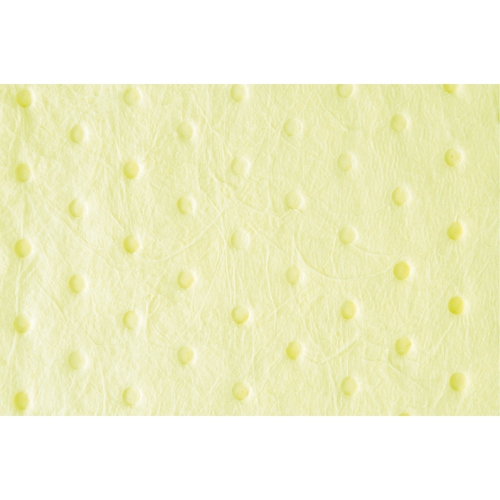 Feuilles absorbantes li&eacute;es de premi&egrave;re qualit&eacute;, Mati&egrave;res dangereuses, 15" x 18", 30 gal. d'absorption Pryde Industrial Inc.