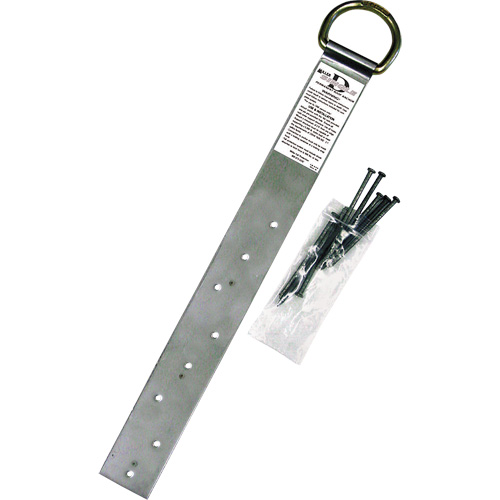 Ancrage simple pour toiture Miller, Anneau en D, Usage Permanent Pryde Industrial Inc.