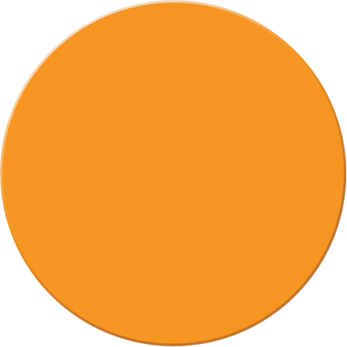 Marqueurs all&eacute;g&eacute;e/5S Armor Stripe, Cercle, 6" lo x 6" la, Orange, Plastique Pryde Industrial Inc.