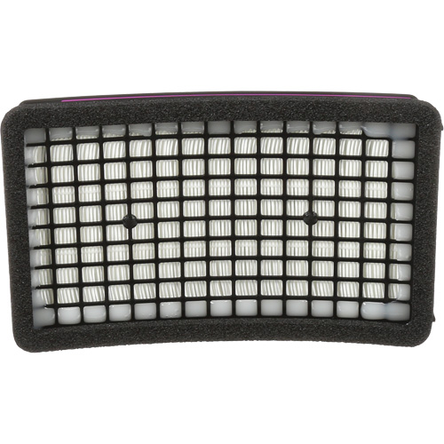 Speedglas HE PAPR Cartridge, P100 Filter, Pack of 1 Pryde Industrial Inc.