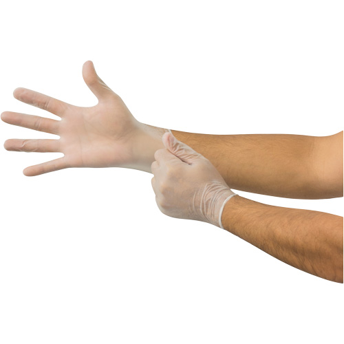 Gants jetables Derma Free MICROFLEX DF-850, 8,5/9/Grand, Vinyle, 3,1 mils/3,5 mils, Sans poudre, Transparent, Classe 2 Pryde Industrial Inc.