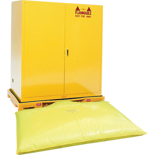 Double Drum Ultra-Safety Cabinet Bladder System, 63" lo x 38,5" la x 6,3" h, Capacit&eacute; de charge 3000 lb Pryde Industrial Inc.