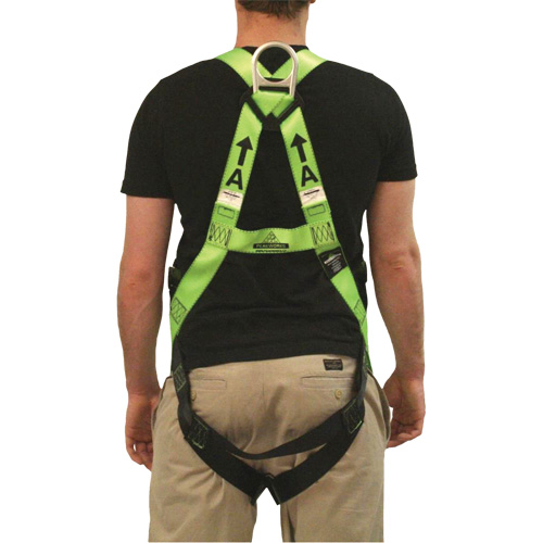 FBH-10000L Contractor Series Safety Harness, CSA Certified, Class AL, 400 lbs. Cap. Pryde Industrial Inc.
