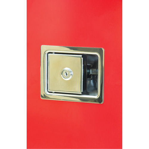 Armoires ext&eacute;rieures robustes pour extincteurs, 14" la x 28" h x 10" p Pryde Industrial Inc.