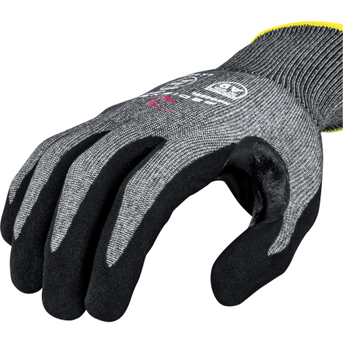RWG589 Cut Protection Coated Gloves, Size X-Small, 18 Gauge, Foam Nitrile Coated, HPPE Shell, ASTM ANSI Level A9/EN 388 Level F Pryde Industrial Inc.