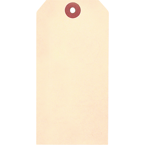 &eacute;tiquettes vierges en papier cartonn&eacute; de manille, Papier cartonn&eacute;, 3-1/8" la x 6-1/4" h Pryde Industrial Inc.