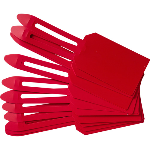 Blank Plastic Lock-On Tags, Plastic, 3-1/4" W x 5-4/5" H, Blank Pryde Industrial Inc.