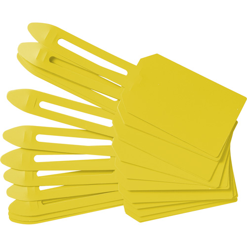 &eacute;tiquettes de cadenassage vierges en plastique, Plastique, 3-1/4" la x 5-4/5" h, Vierge Pryde Industrial Inc.
