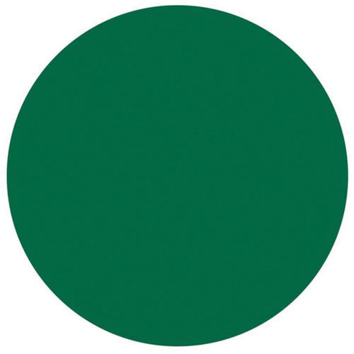 Round Write-On Labels, Circle, 3" L x 3" W, Green Pryde Industrial Inc.