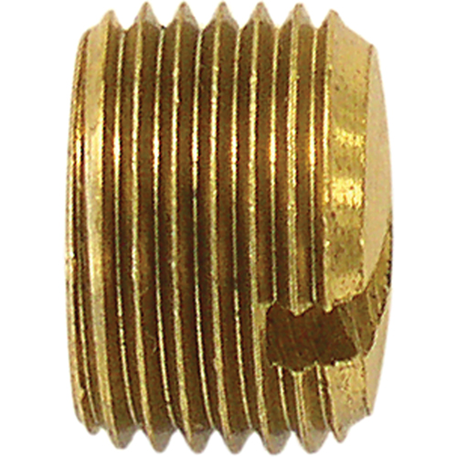 Bouchon de tuyau (avec fentes), 1/8" dia., Laiton Pryde Industrial Inc.